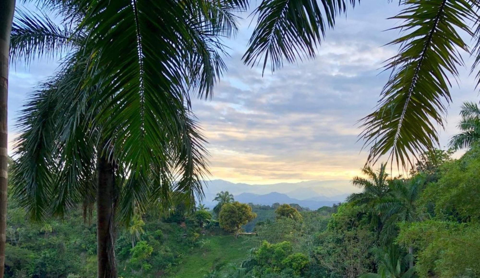 Boutique Hotel Las Cascadas Manuel Antonio Pokoj fotografie