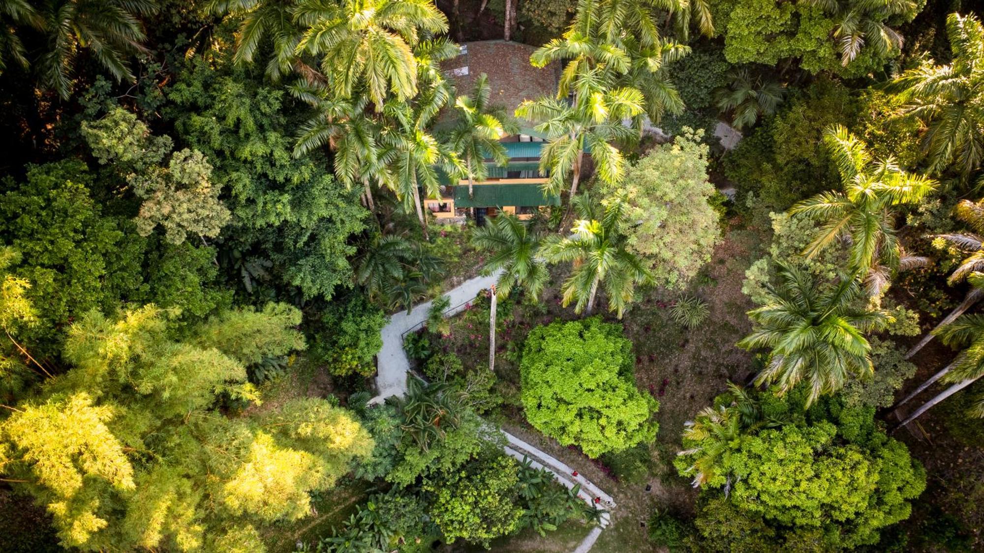 Boutique Hotel Las Cascadas Manuel Antonio Exteriér fotografie